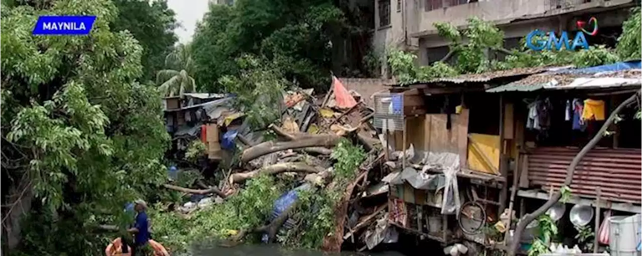 Death toll in Manila tree collapse rises to 3; Abalos orders probe