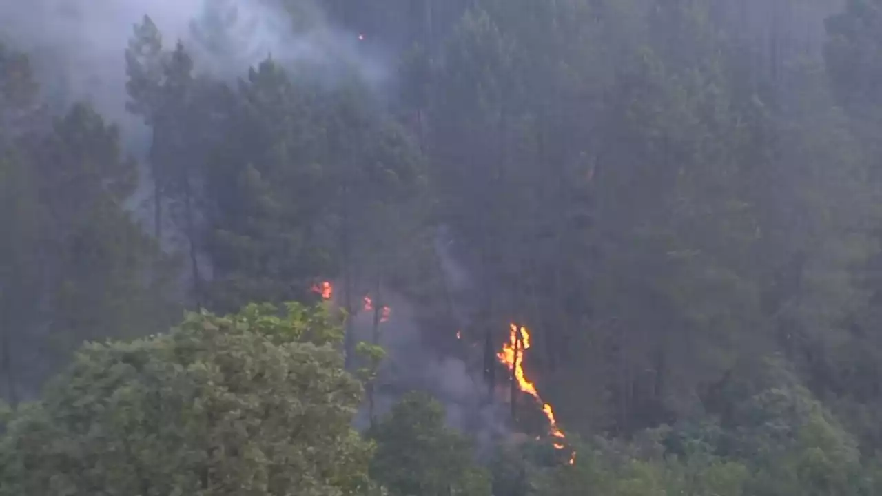 El fuego de Las Hurdes está fuera de control: se dirige al Valle del Árrago