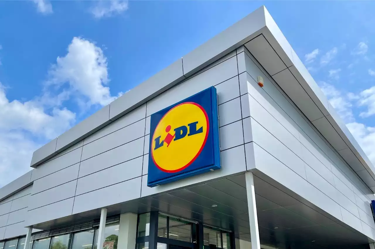 Lidl lance son site de vente en ligne en France : ce qu'il faut absolument savoir