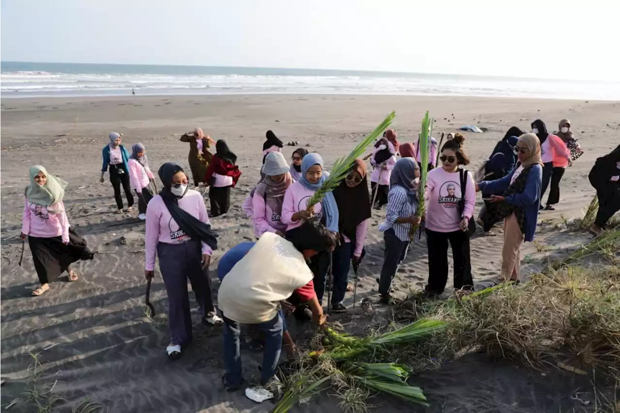 Bergerak ke Bantul, Srikandi Ganjar DIY Tanam Pandan Laut & Bersih-Bersih Pantai