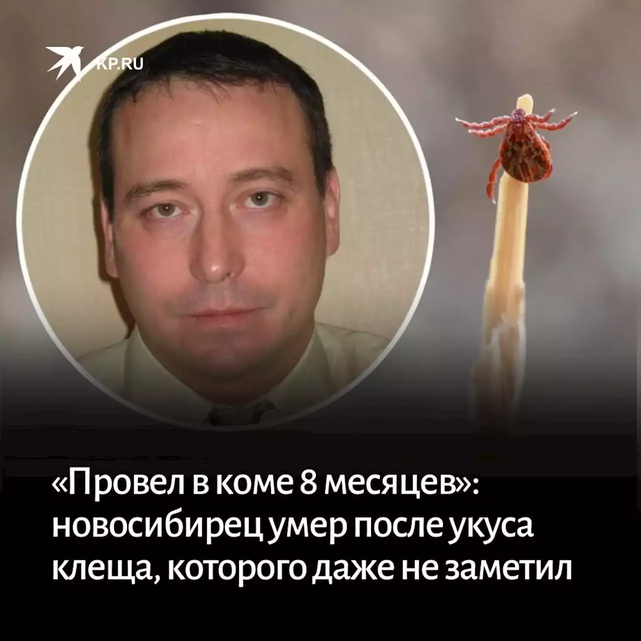 «Провел в коме 8 месяцев»: новосибирец умер после укуса клеща, которого даже не заметил