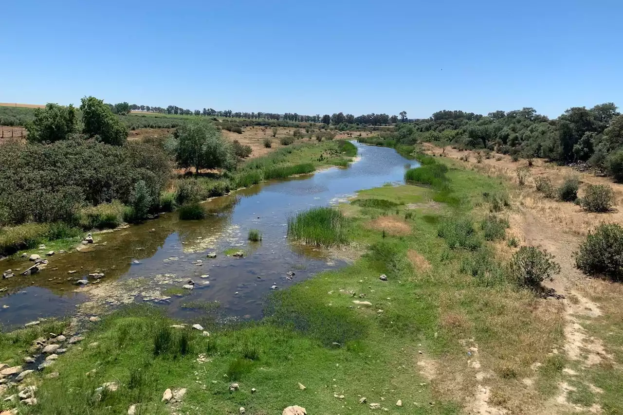 En Espagne, l’eau agite la campagne des municipales et des régionales