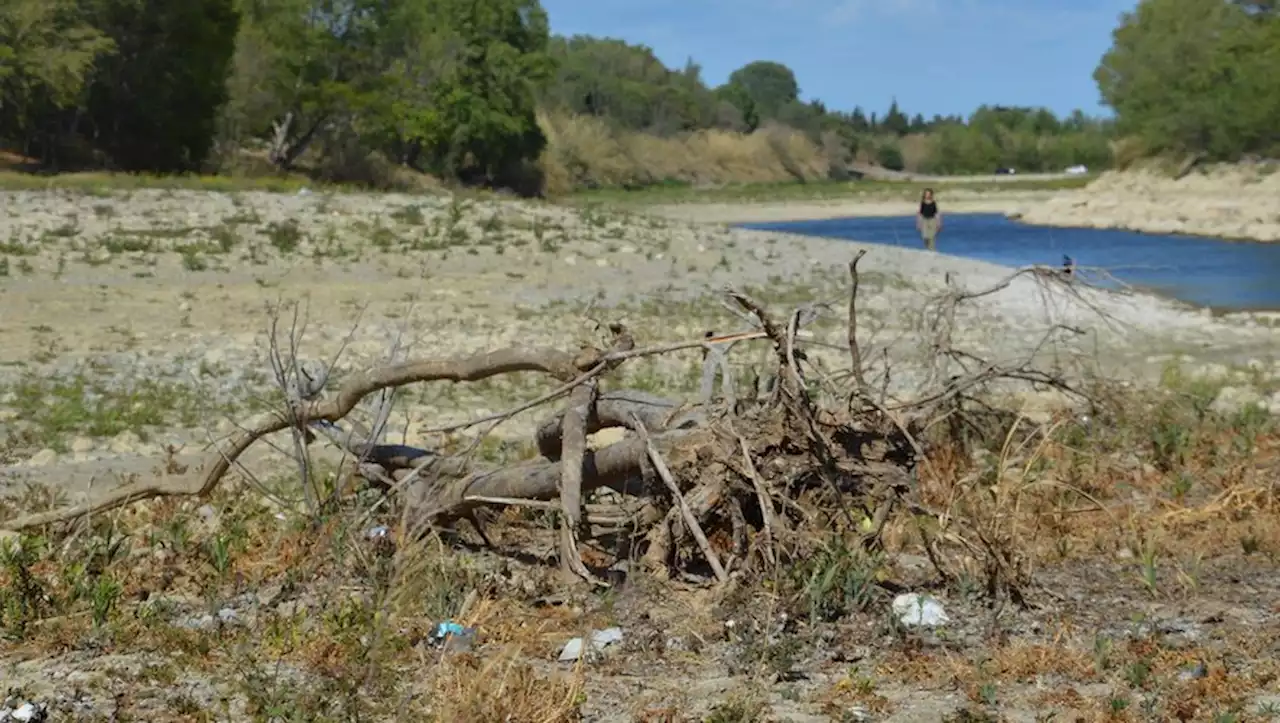 DOSSIER. Sécheresse : entre risque d'incendies et manque d'eau, le littoral méditerranéen est en alerte avant un été de tous les dangers