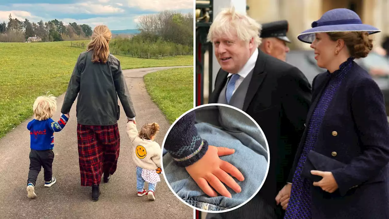 Boris Johnson's wife Carrie is pregnant with third child and will give birth 'in just a few weeks'