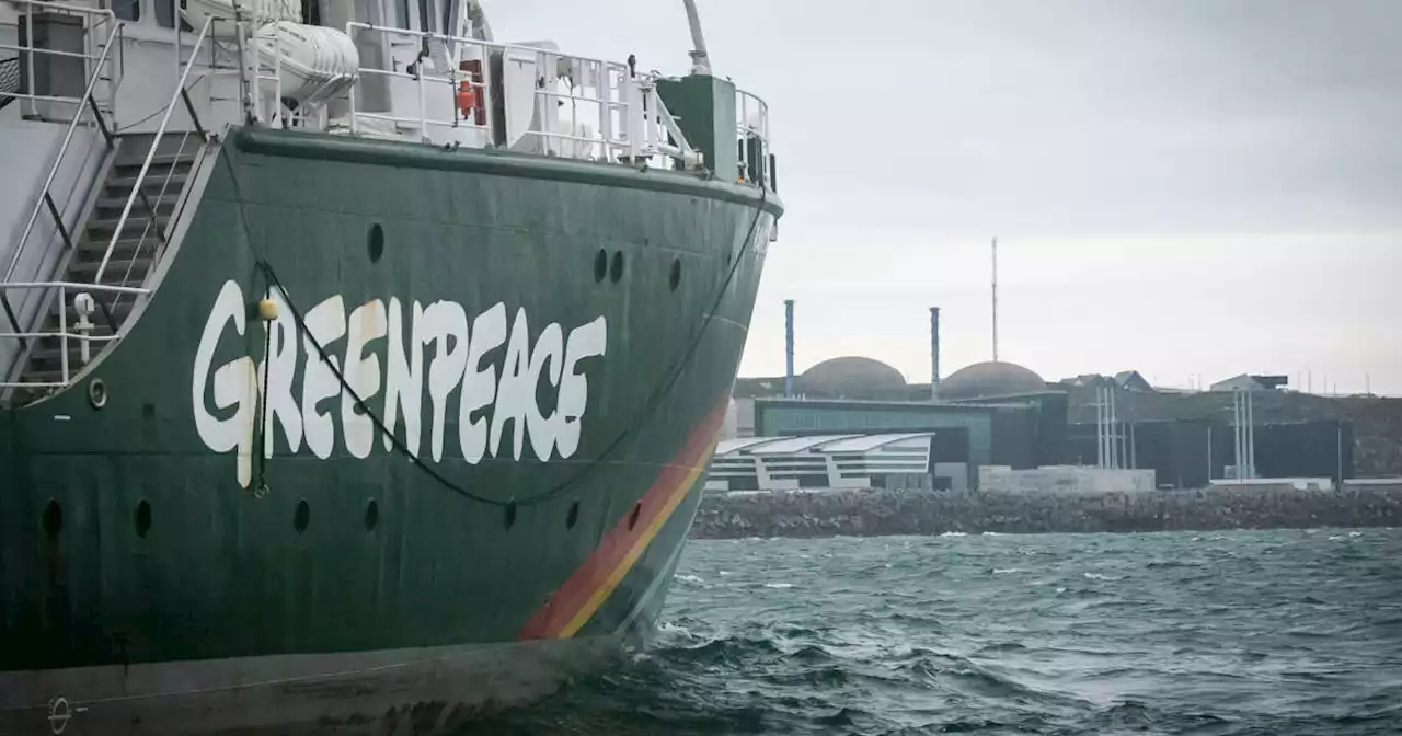 En Russie, l’ONG Greenpeace déclarée « indésirable »