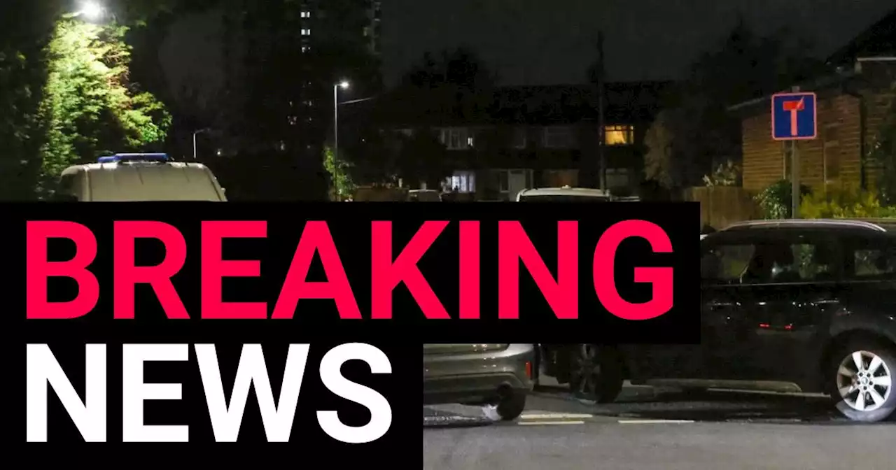 Man stabbed to death after fight in west London