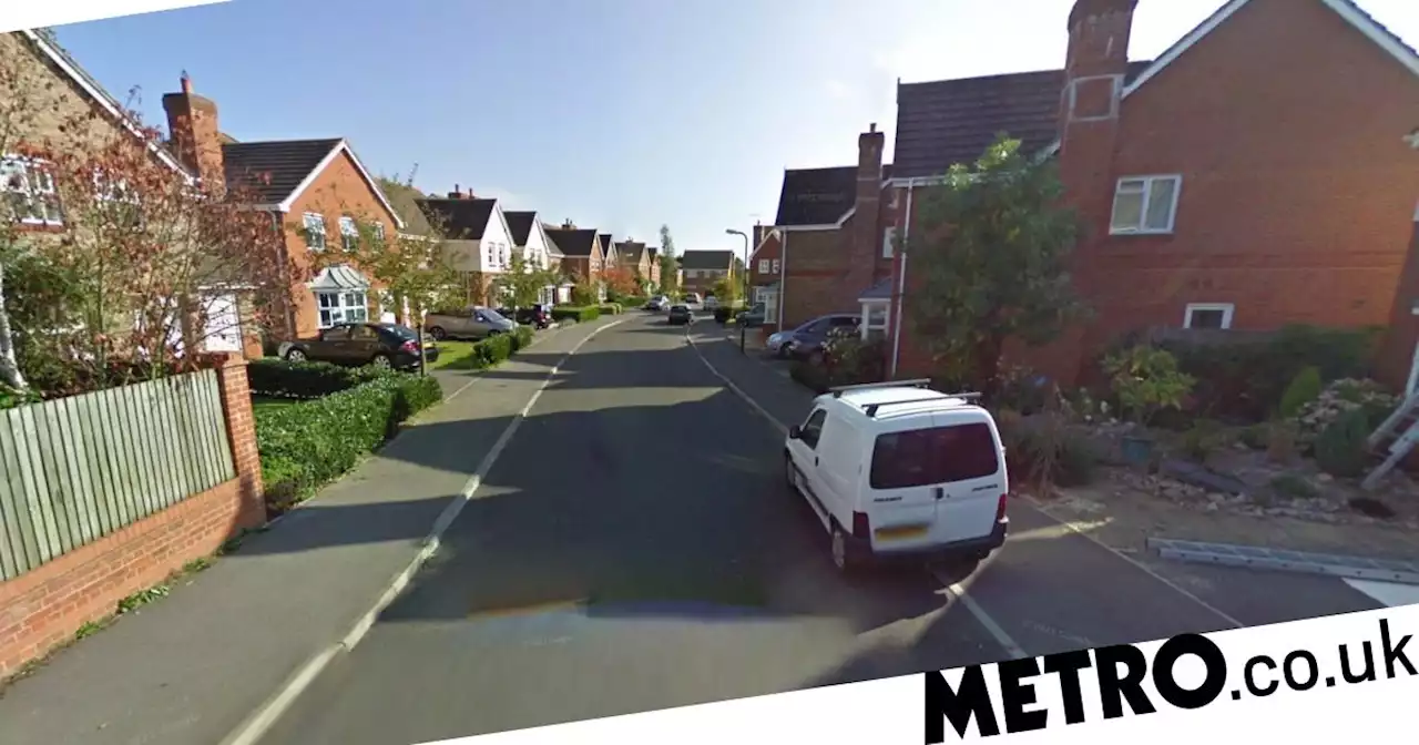 Nine-month-old baby seriously injured in dog attack