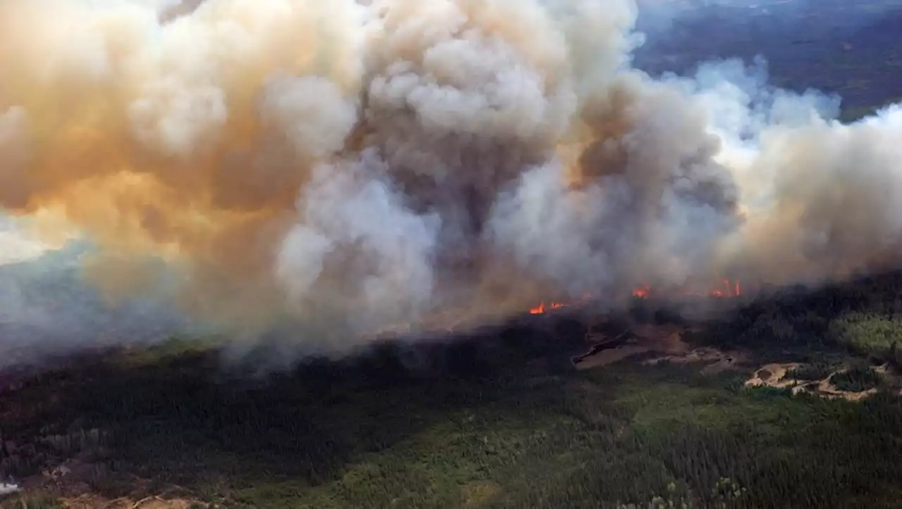 Incendies géants au Canada : 'On peut s’attendre à une multiplication des phénomènes extrêmes', prévient un climatologue