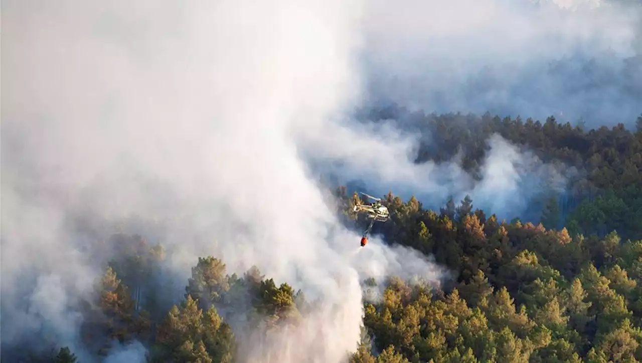 VIDEO. Incendie monstre en Espagne : plus de 8 000 hectares brûlés et des centaines de personnes évacuées en urgence