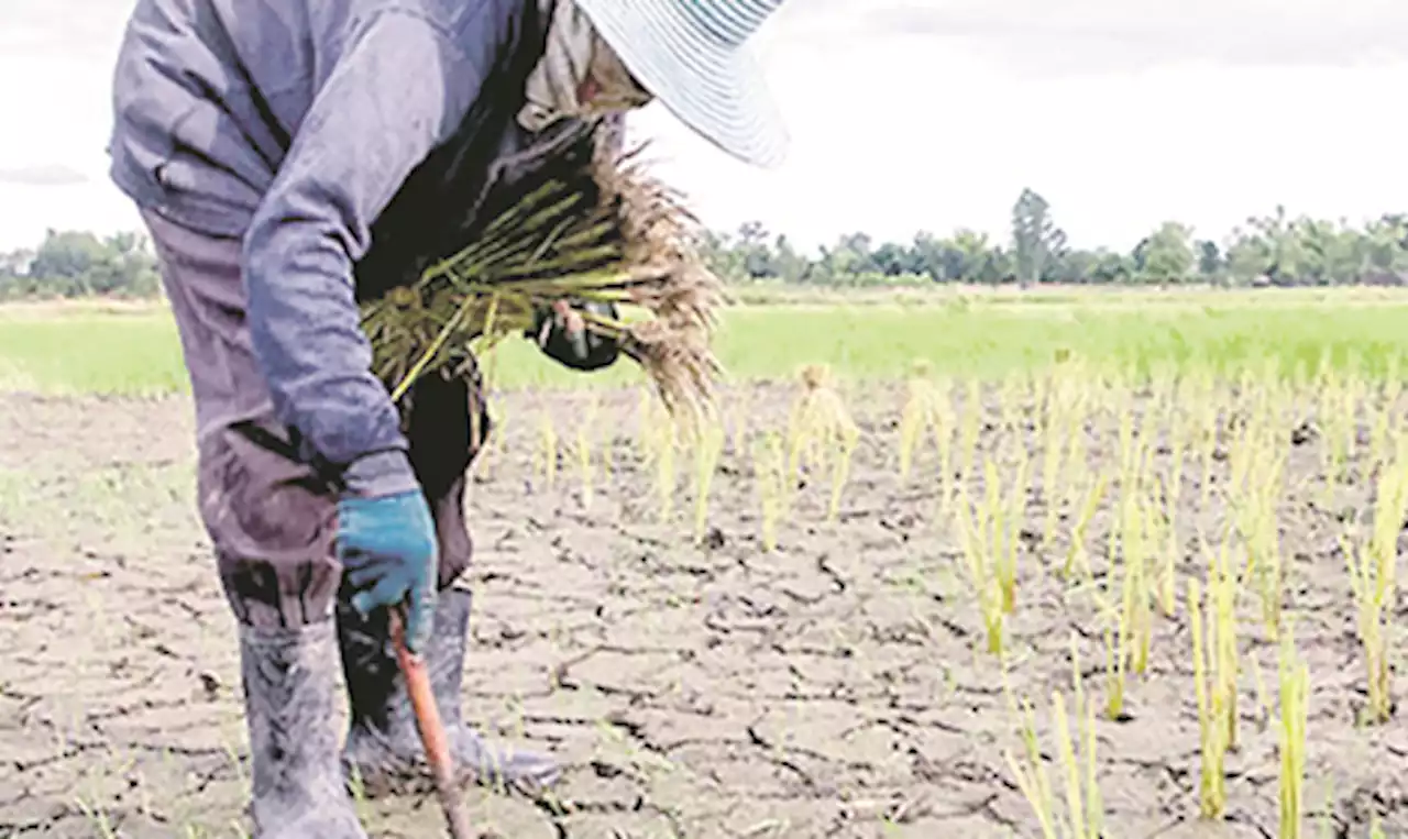 PAGASA says 90% chance El Niño to last till 2024