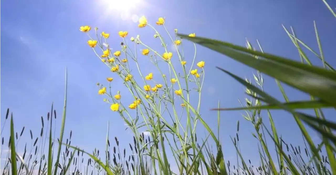 Jetzt wird es direkt sommerlich: Bis zu 29 Grad am Wochenende in Bayern