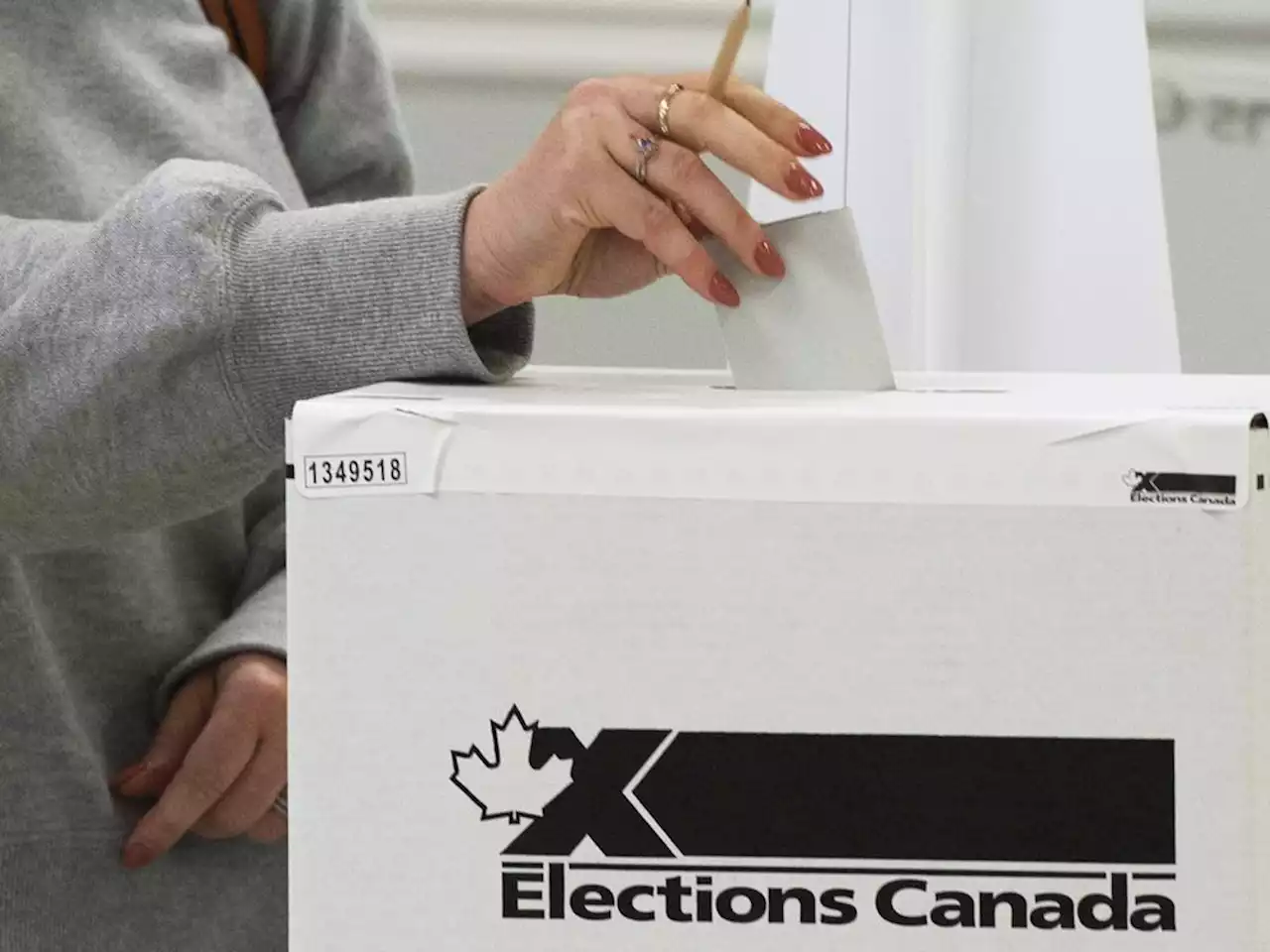 Foreign interference task force didn't work in 2021 election, senior Conservative says