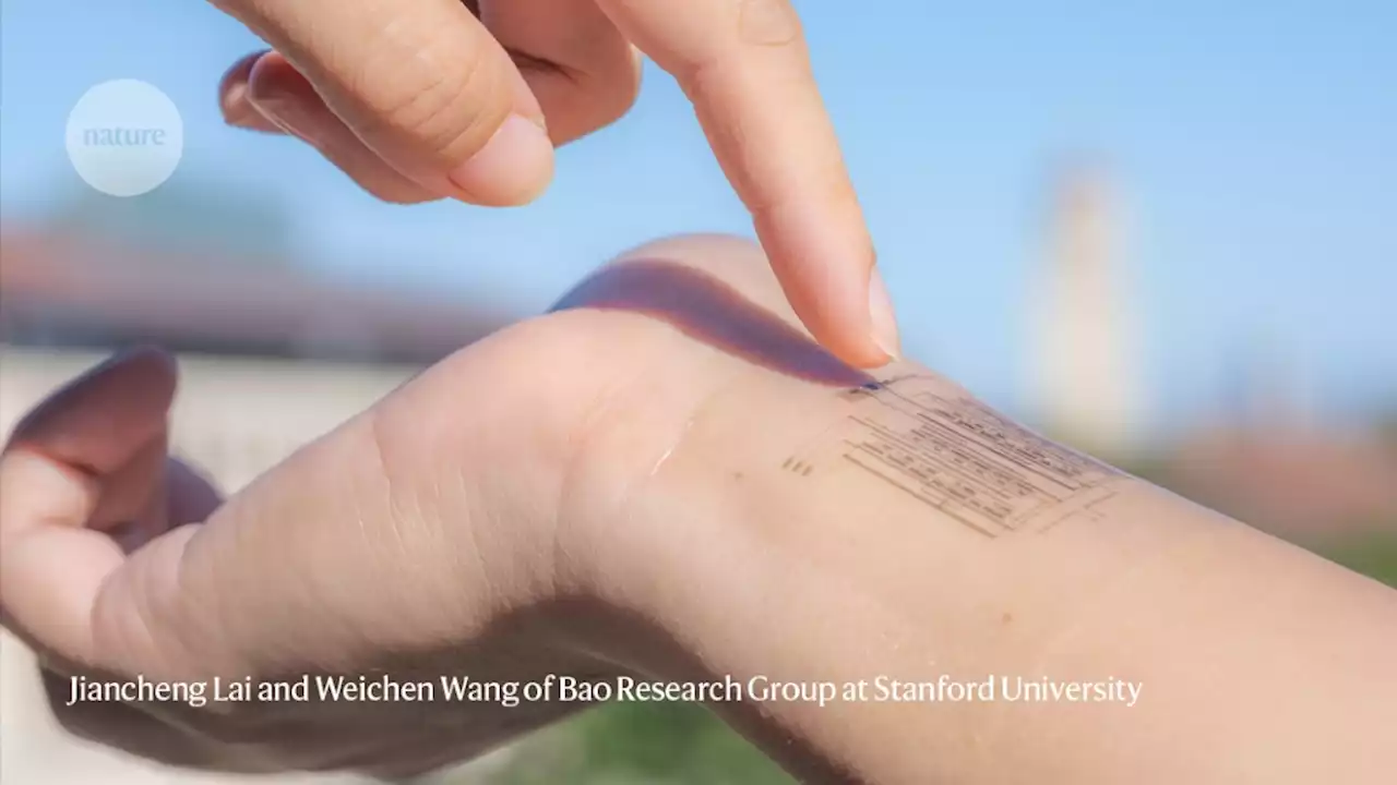 Soft ‘Electronic skin’ mimics our sense of touch