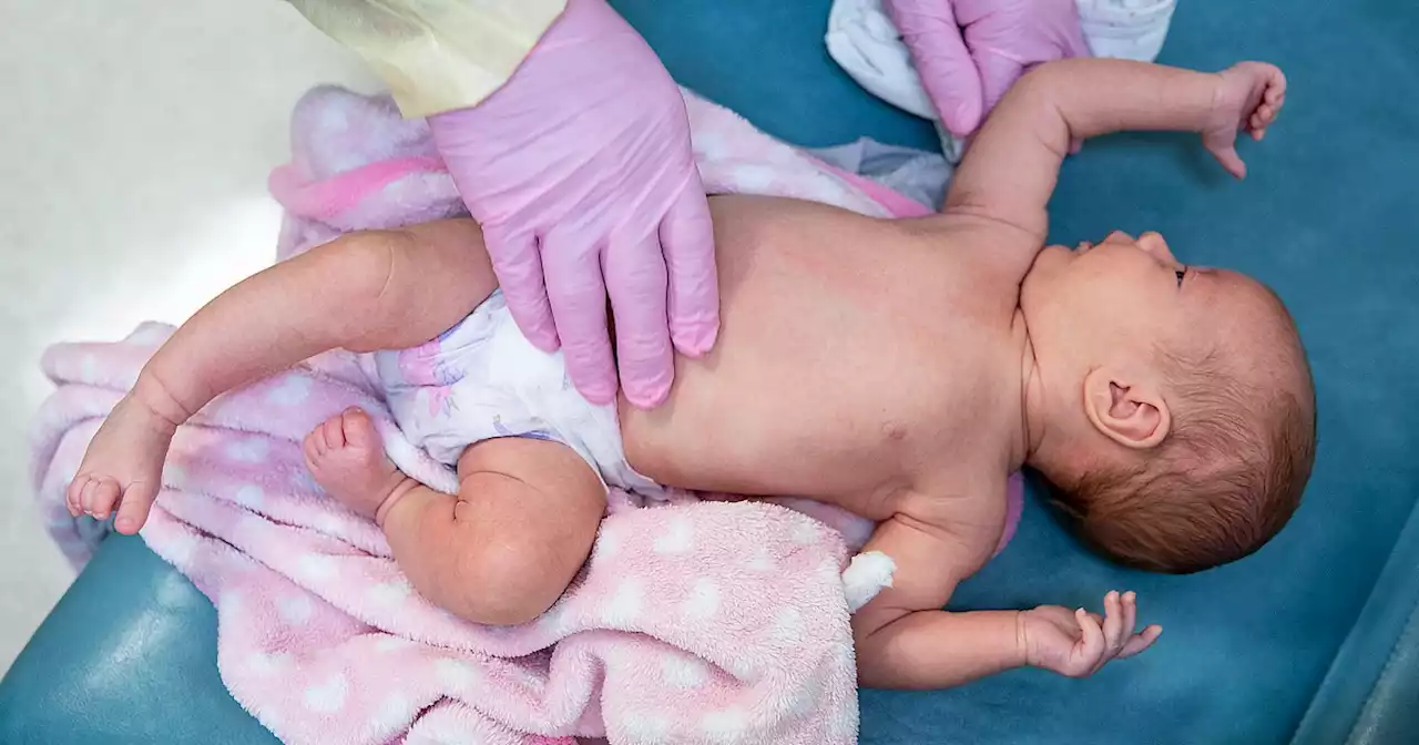 FDA panel recommends the first shot to prevent RSV in infants by vaccinating pregnant mothers