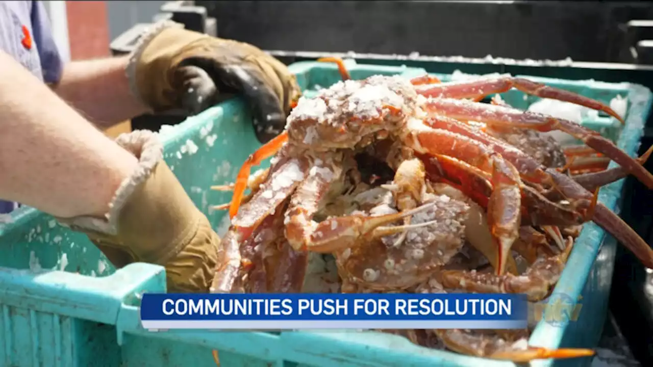 Mayor of Triton urges union, processors to come to resolution amid crab dispute