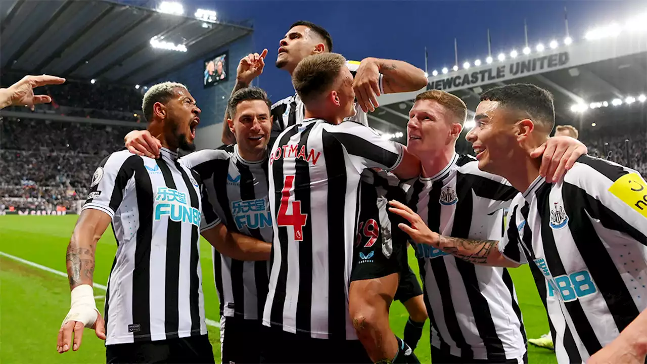 Newcastle 4 Brighton 1 - Match ratings and comments on all of the NUFC players