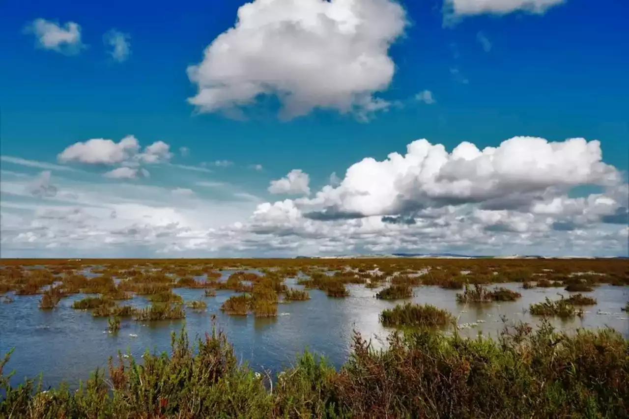 La Confederación del Guadalquivir emite un informe desfavorable al macroproyecto turístico de Trebujena, junto a Doñana