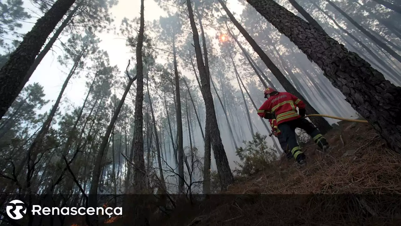 Portugal envia 100 operacionais para apoiar Espanha a combater incêndio - Renascença