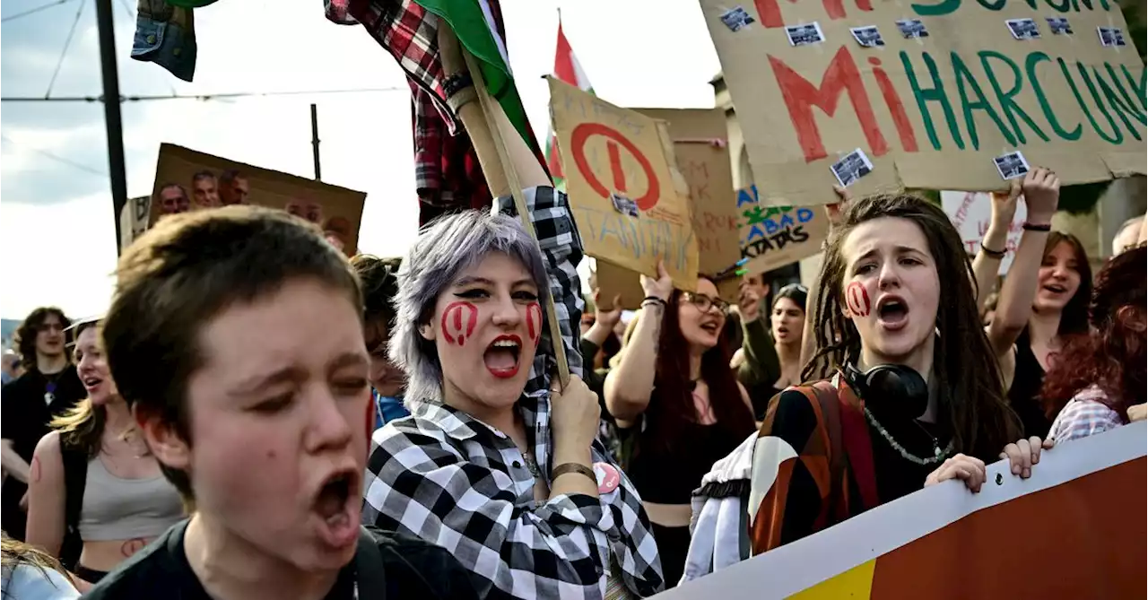 Hungarians protest against new teachers' law, police violence