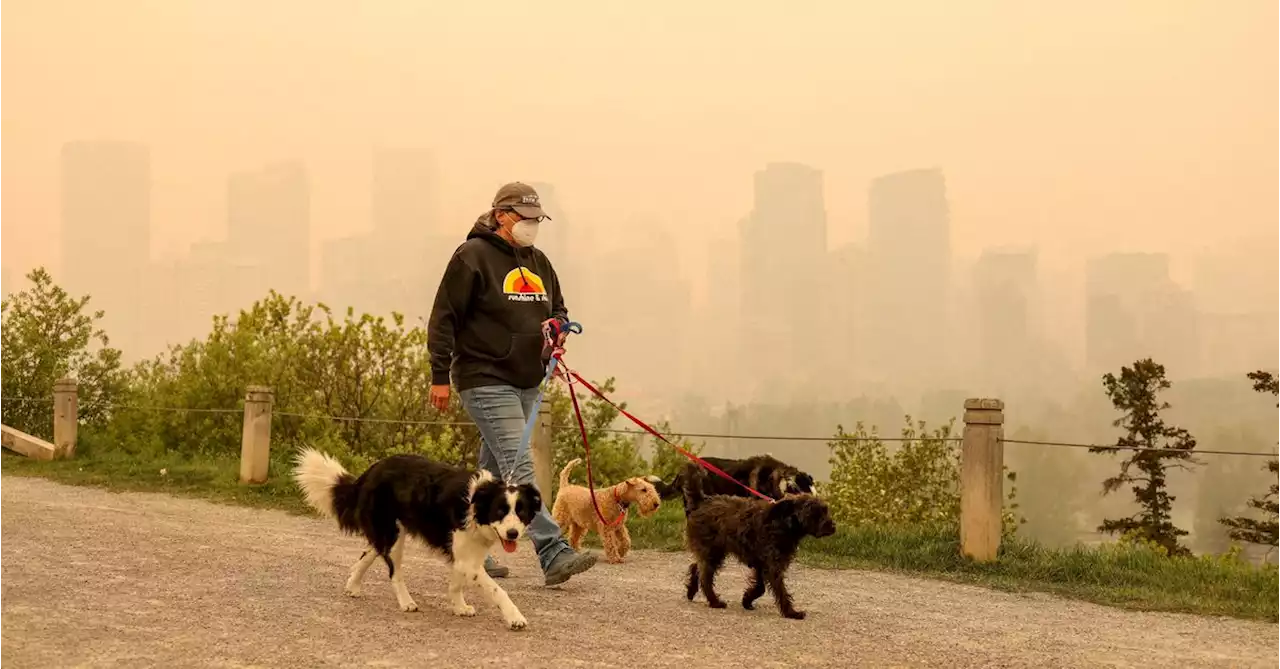 Wildfire risk spurs Alberta to close parks, urge caution ahead of holiday weekend