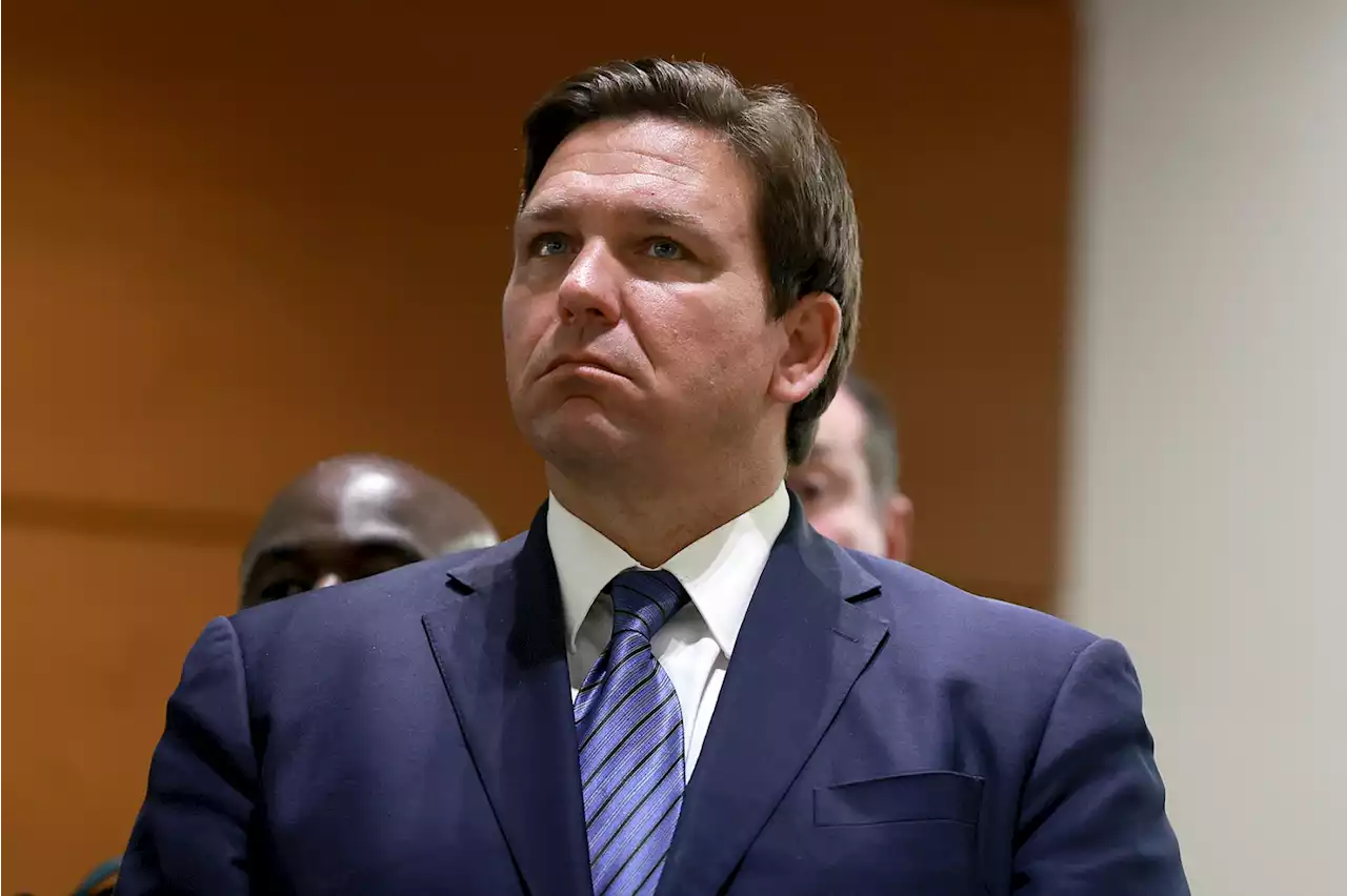 DeSantis' 2024 Opponents Are Unfazed: 'No One Is Afraid of Him'