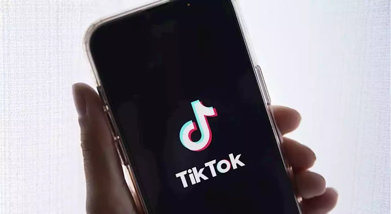 Criadores levam estado norte-americano a tribunal devido a proibição do TikTok