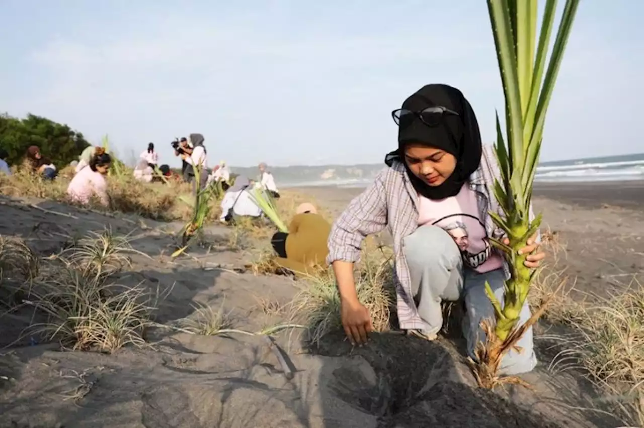 Perempuan Milenial Tanam Pandan Laut dan Bersih-bersih Pantai di Bantul