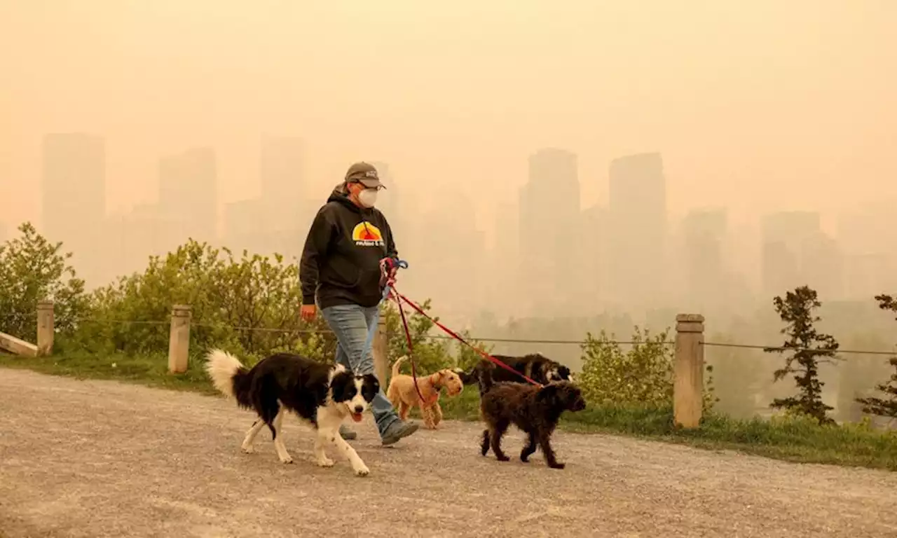 Wildfire risk spurs Alberta to close parks, urge caution ahead of holiday weekend