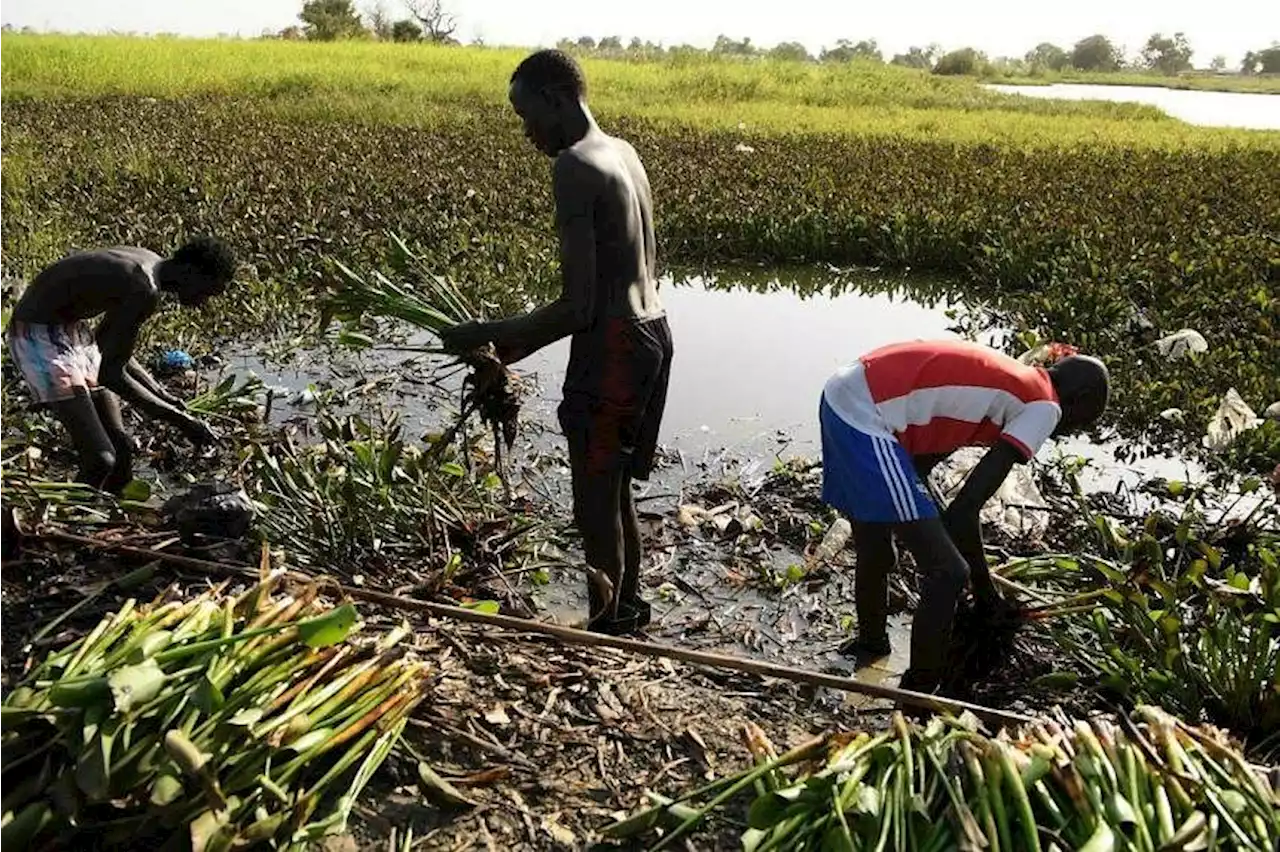 Warming world risks adding 9 million deaths annually, WHO warns