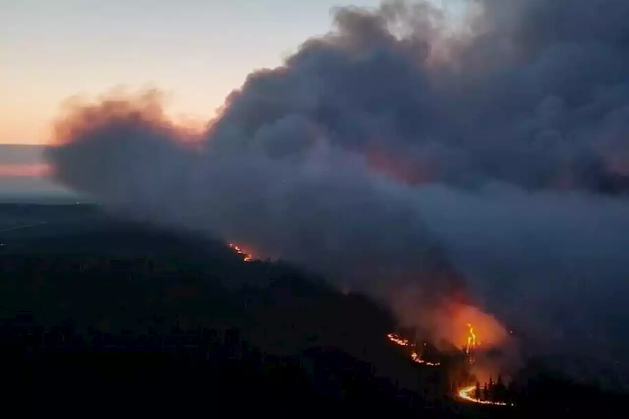 Wildfire service says ‘exceptional’ hot weather has put B.C. regions at risk - Terrace Standard