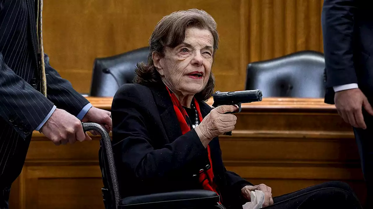 Senate Freaking Out After Dianne Feinstein Gets Her Hands On Gun