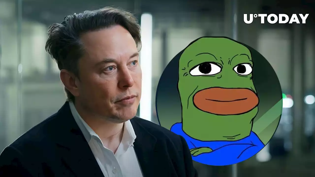 Elon Musk's Tweet Sends BOB up 43%: Here's What You Missed