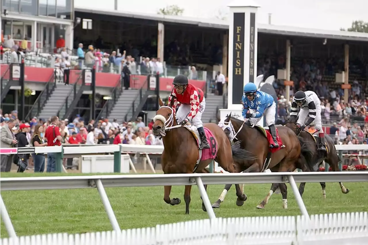 Is it “the Preakness” or Just “Preakness”? A Washingtonian Investigation. - Washingtonian