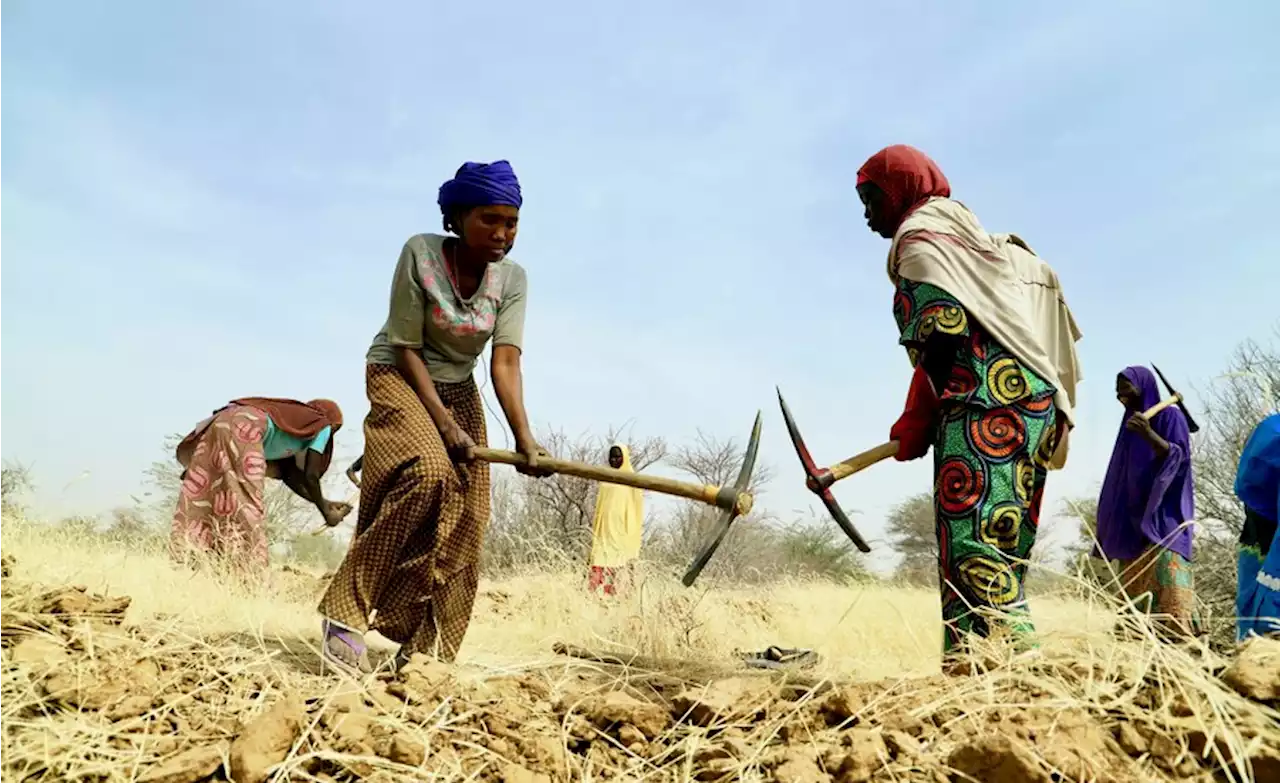 West Africa: Niger Shows How WFP and Partners Can Transform Lives in Africa's Harsh Sahel