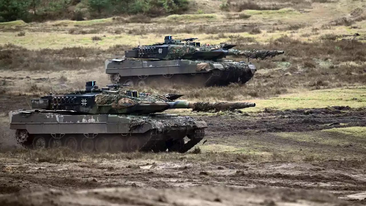 Von Leopard bis Büffel: Warum haben deutsche Panzer Tiernamen?