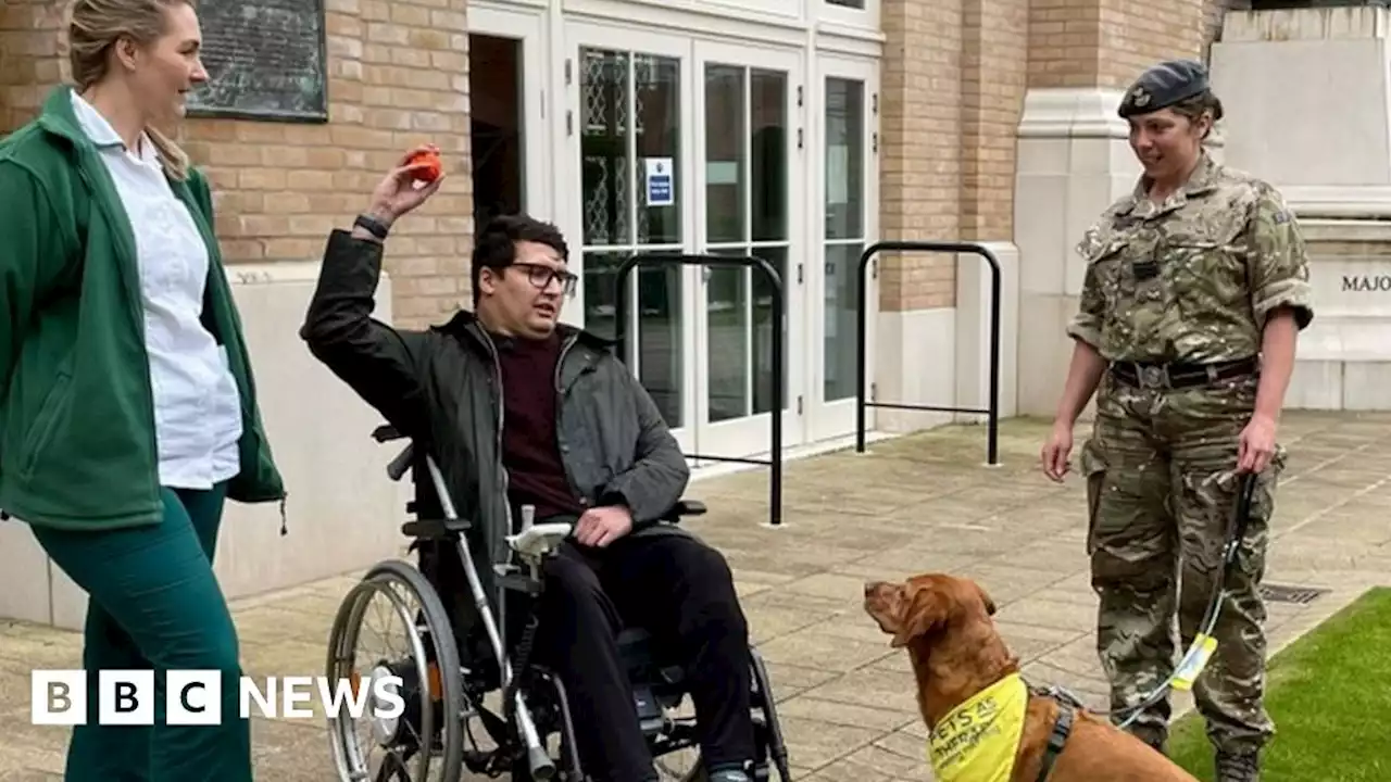 Pet therapy helps soldier recover from stroke