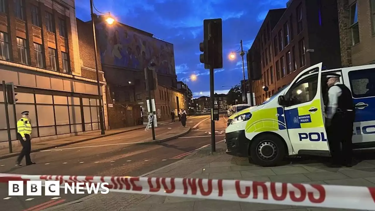 Woman stabbed to death in south London