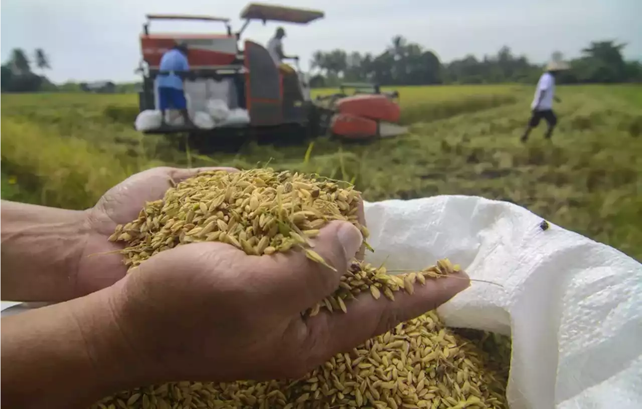 Teten Sebut Koperasi Berperan Wujudkan Korporatisasi Petani