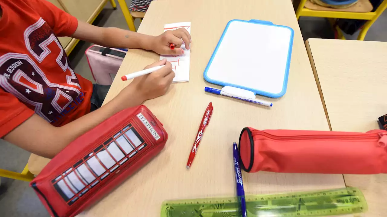 'Certains abusent les parents': l'association Montessori veut lutter contre des 'dérives'