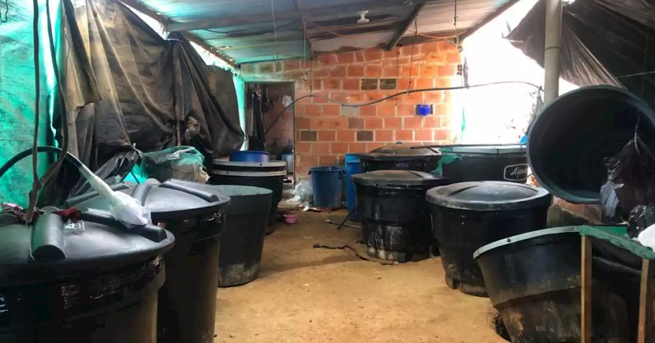 ELN tenía una vivienda en zona rural de Ocaña acondicionada para producir clorhidrato de cocaína