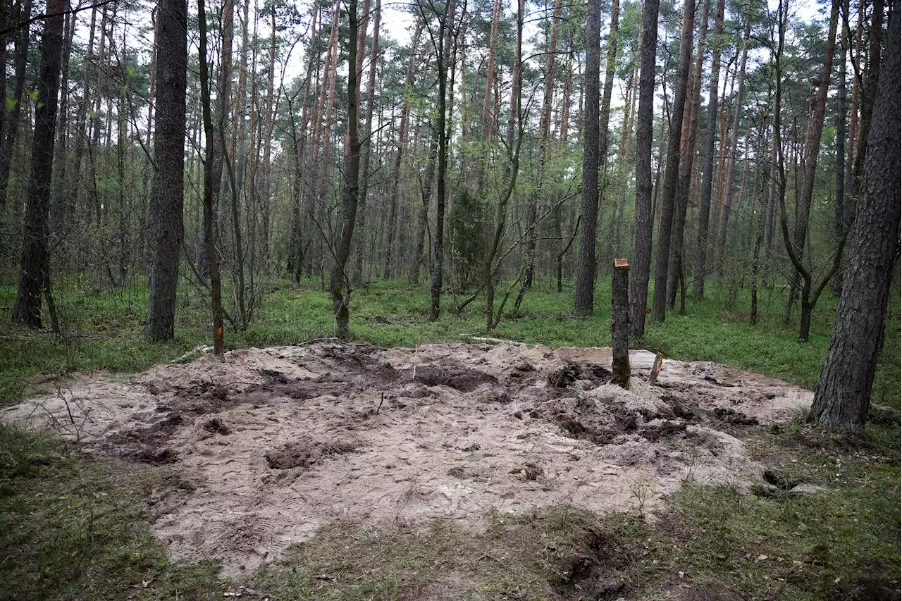 Rätseln über Raketenfund im Wald