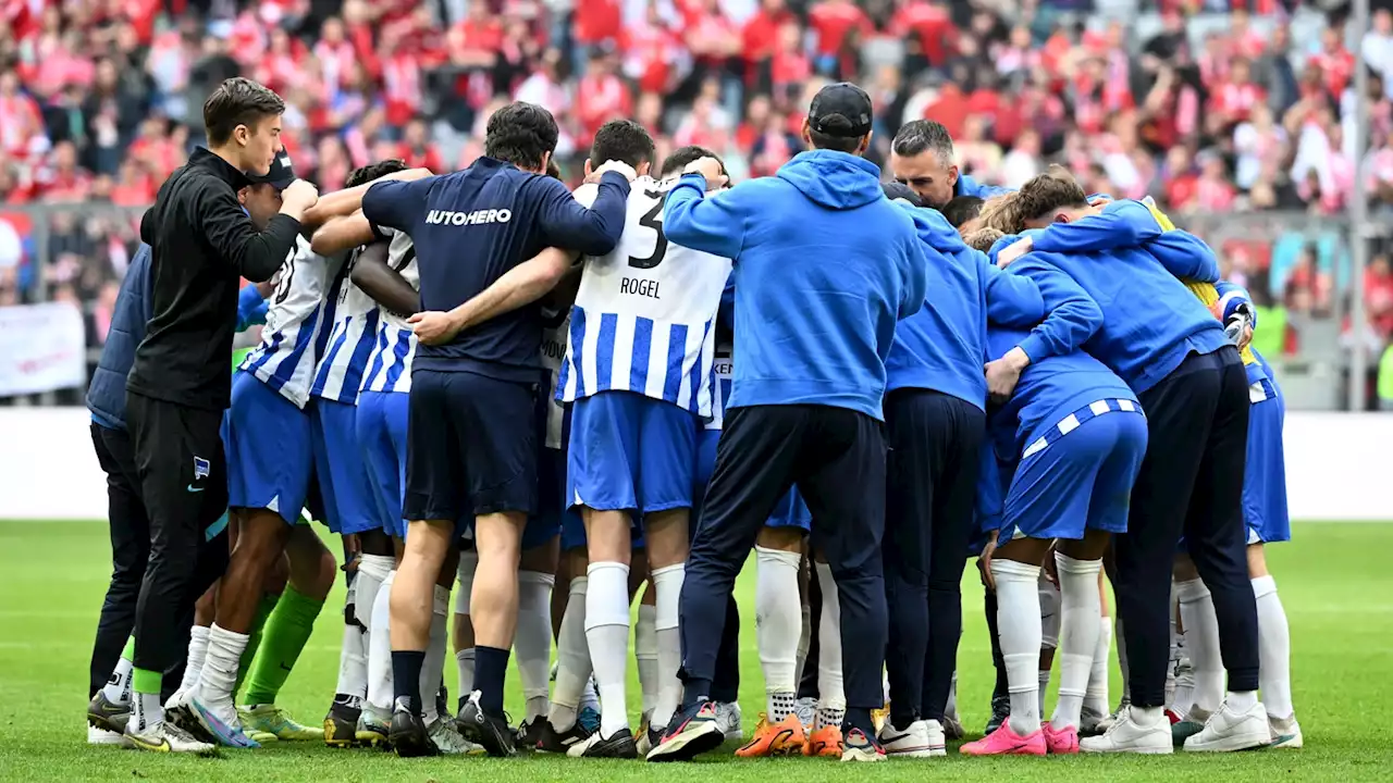 Der Neun-Punkte-Plan für die Hertha-Rettung