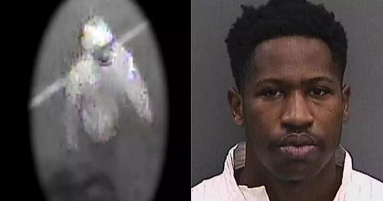 Florida serial killer pleads guilty to 4 murders