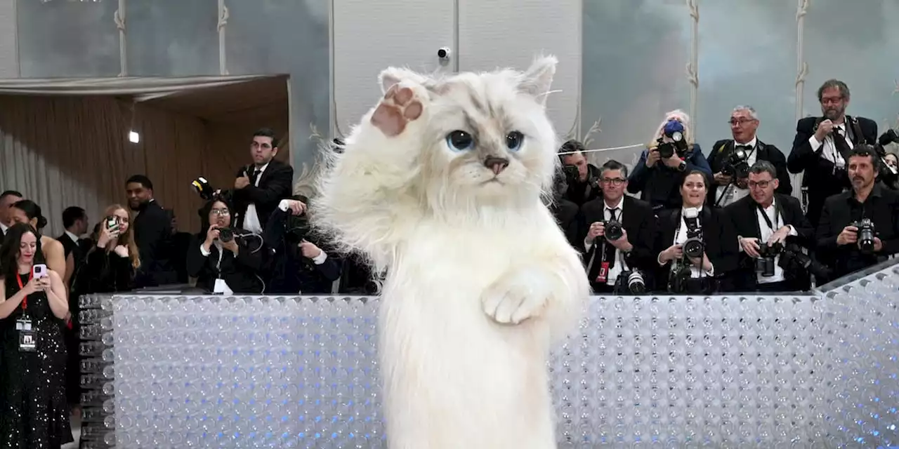 Schaulaufen bei der Met-Gala in Lagerfeld-Roben und Katzenkostümen