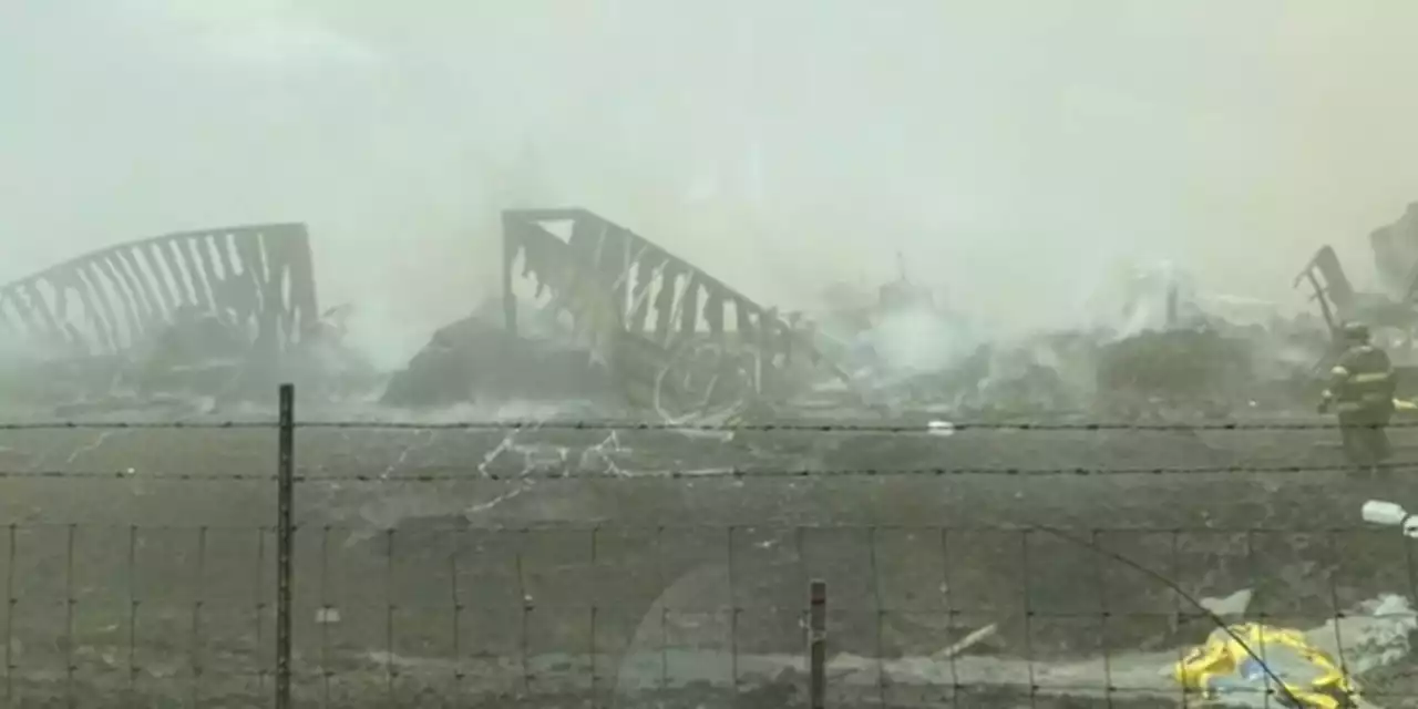 ‘Multiple fatalities’ on Illinois highway following crashes in dust storm