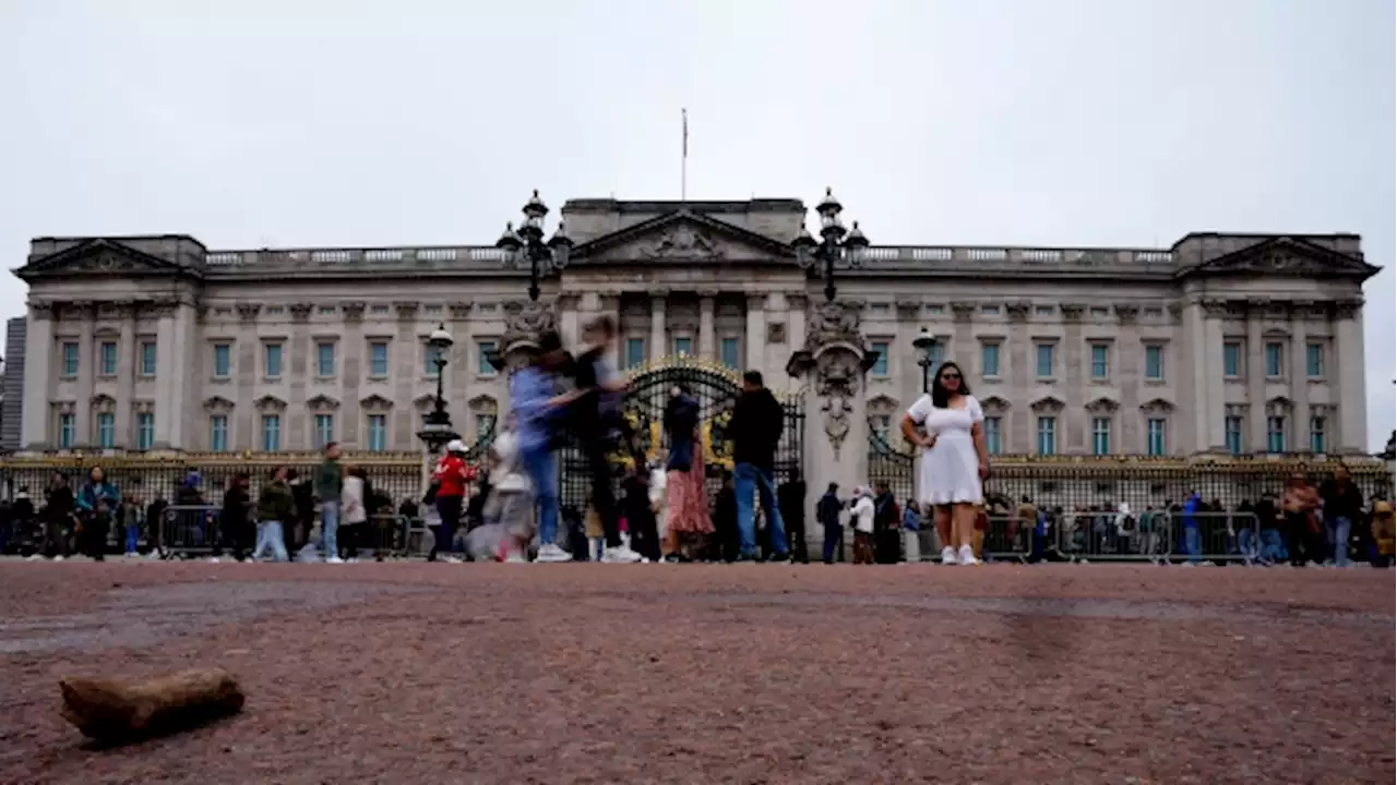 Police arrest man outside Buckingham Palace after allegedly throwing suspected 'shotgun cartridges'