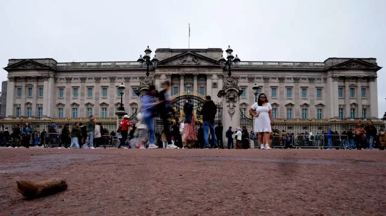 Police arrest man who allegedly threw 'shotgun cartridges' into Buckingham Palace grounds