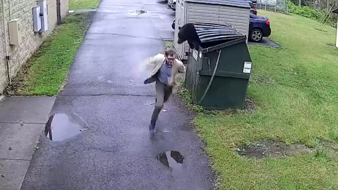 School principal comes face-to-face with bear leaping from dumpster at U.S. school