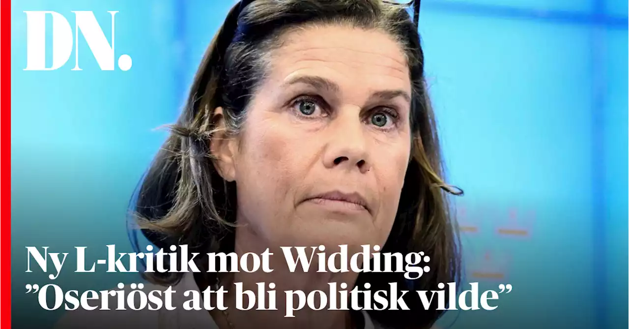 Ny L-kritik mot Widding: ”Oseriöst att bli politisk vilde”