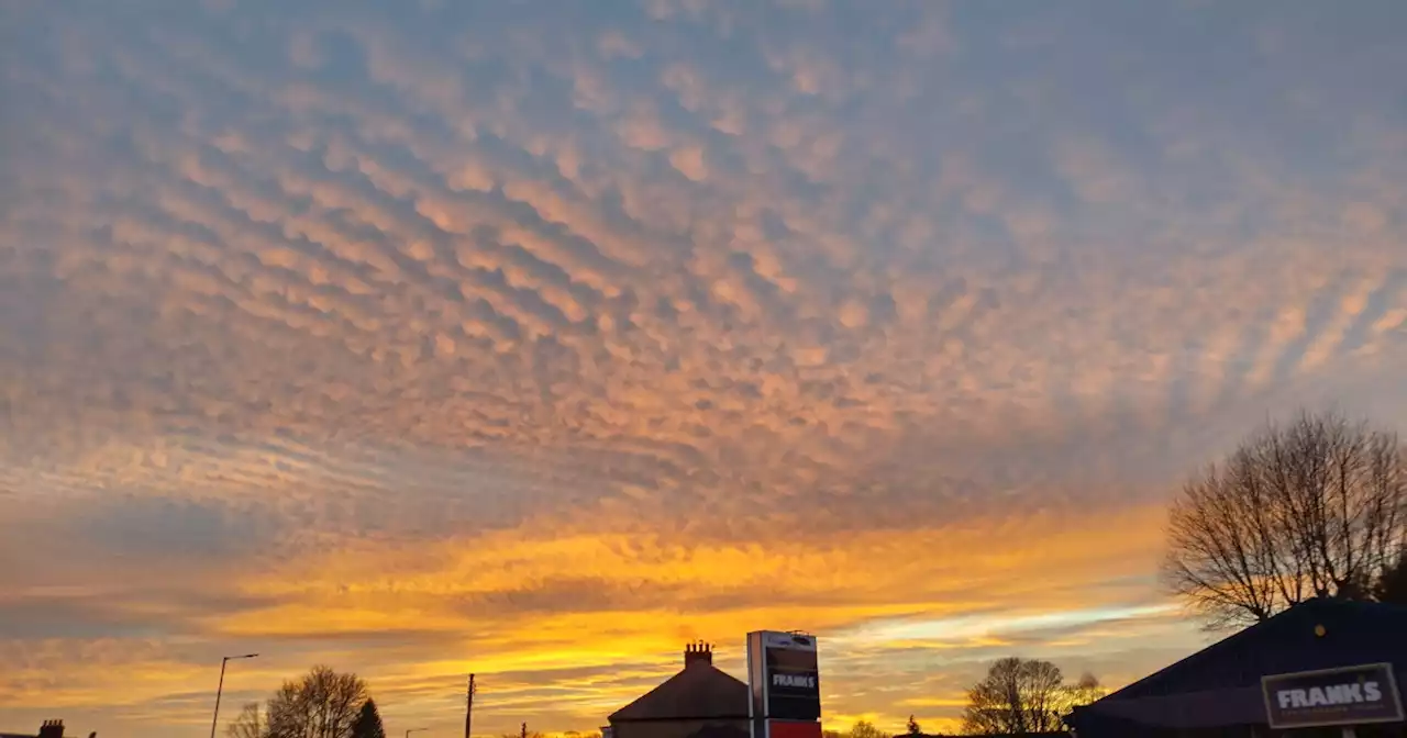 Check out NASA's sky-watching tips for May | Digital Trends